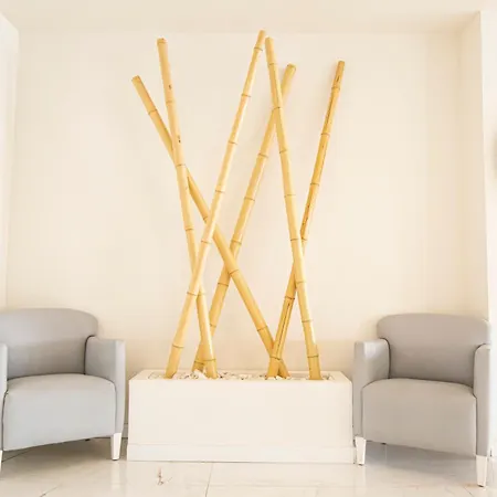 Fleming Playa Poniente